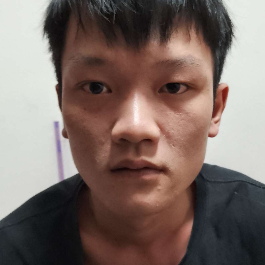 黑米闻勤恳的照片