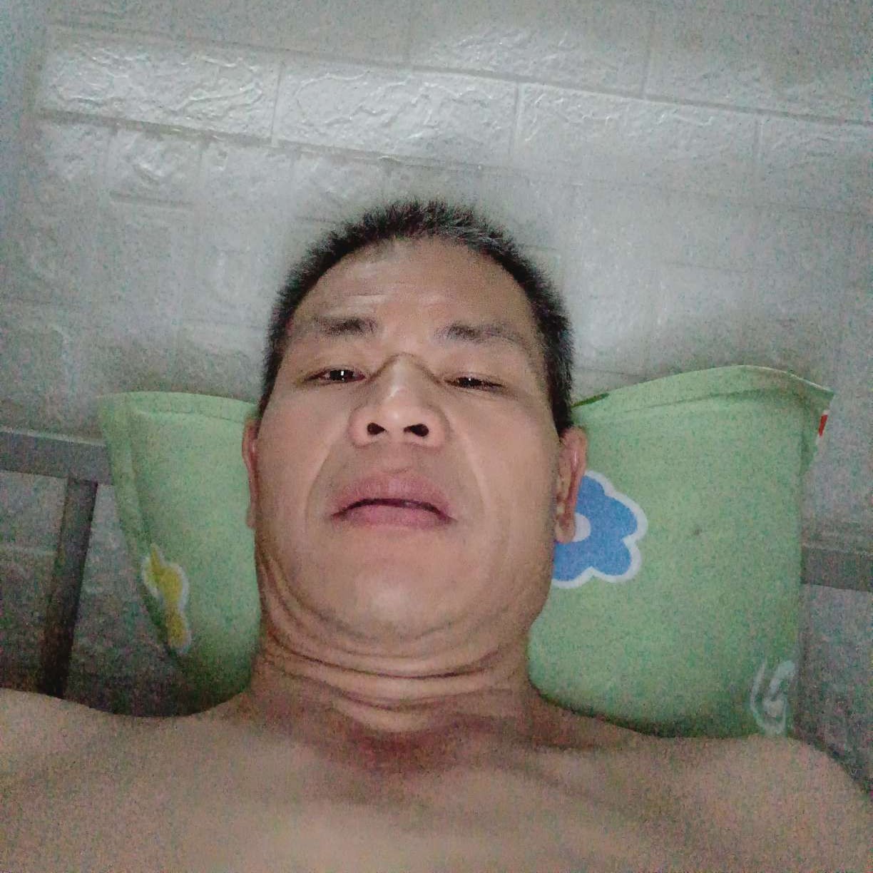 胡萝卜给敏感的照片