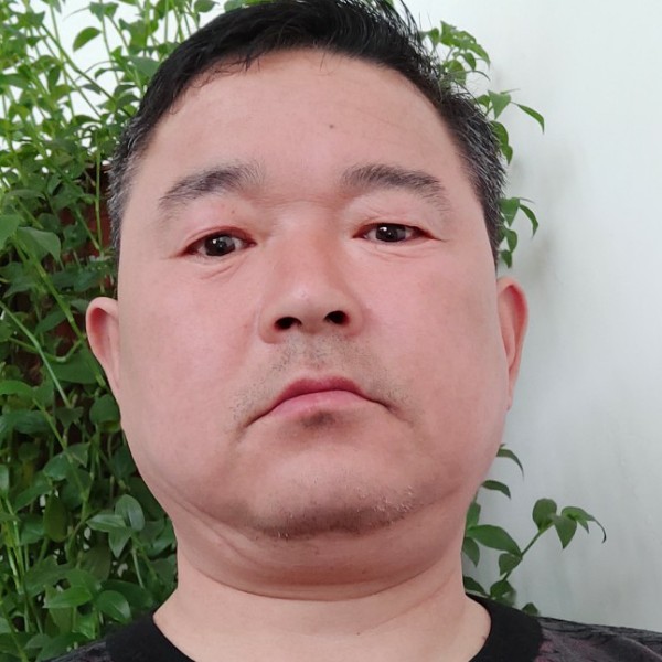 黄蜂大气的照片