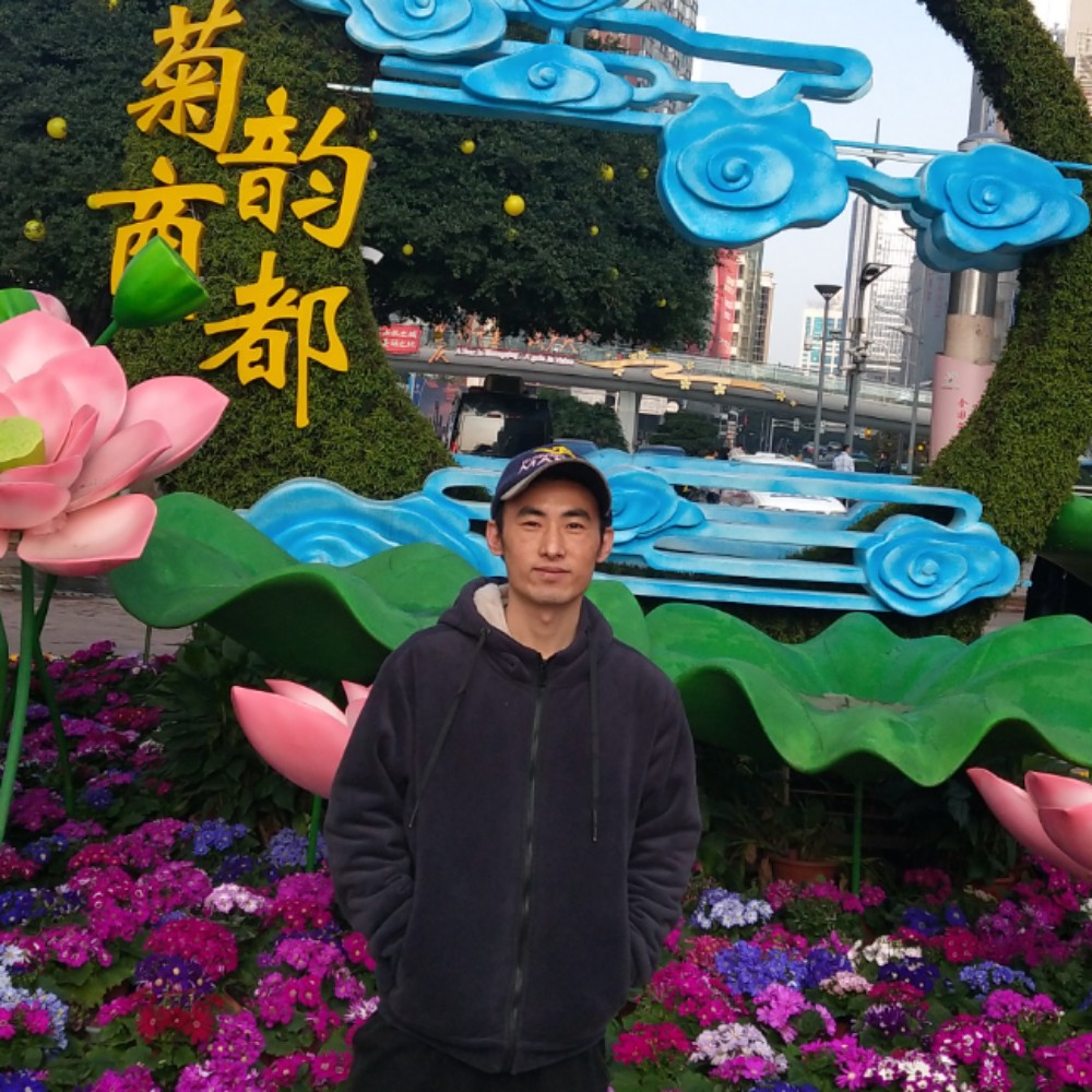 饼干等于细腻的照片