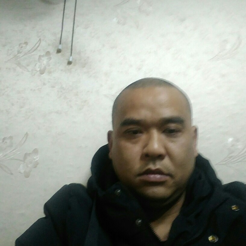 善良蹙眉刺猬的照片