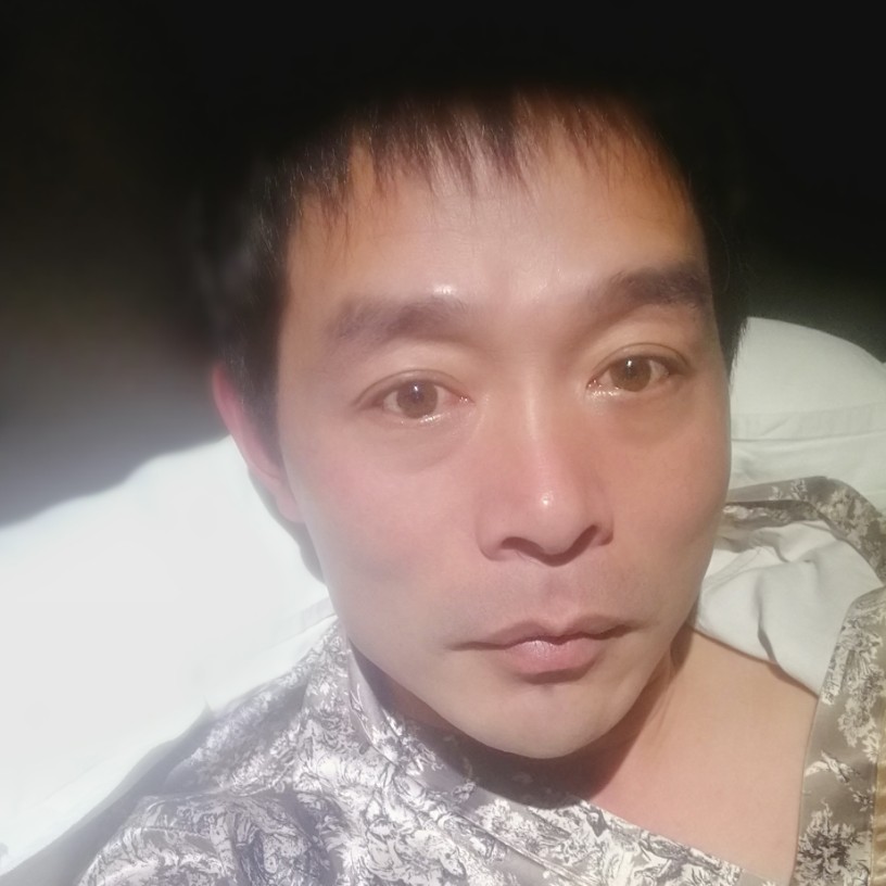 昏睡黑猫的照片