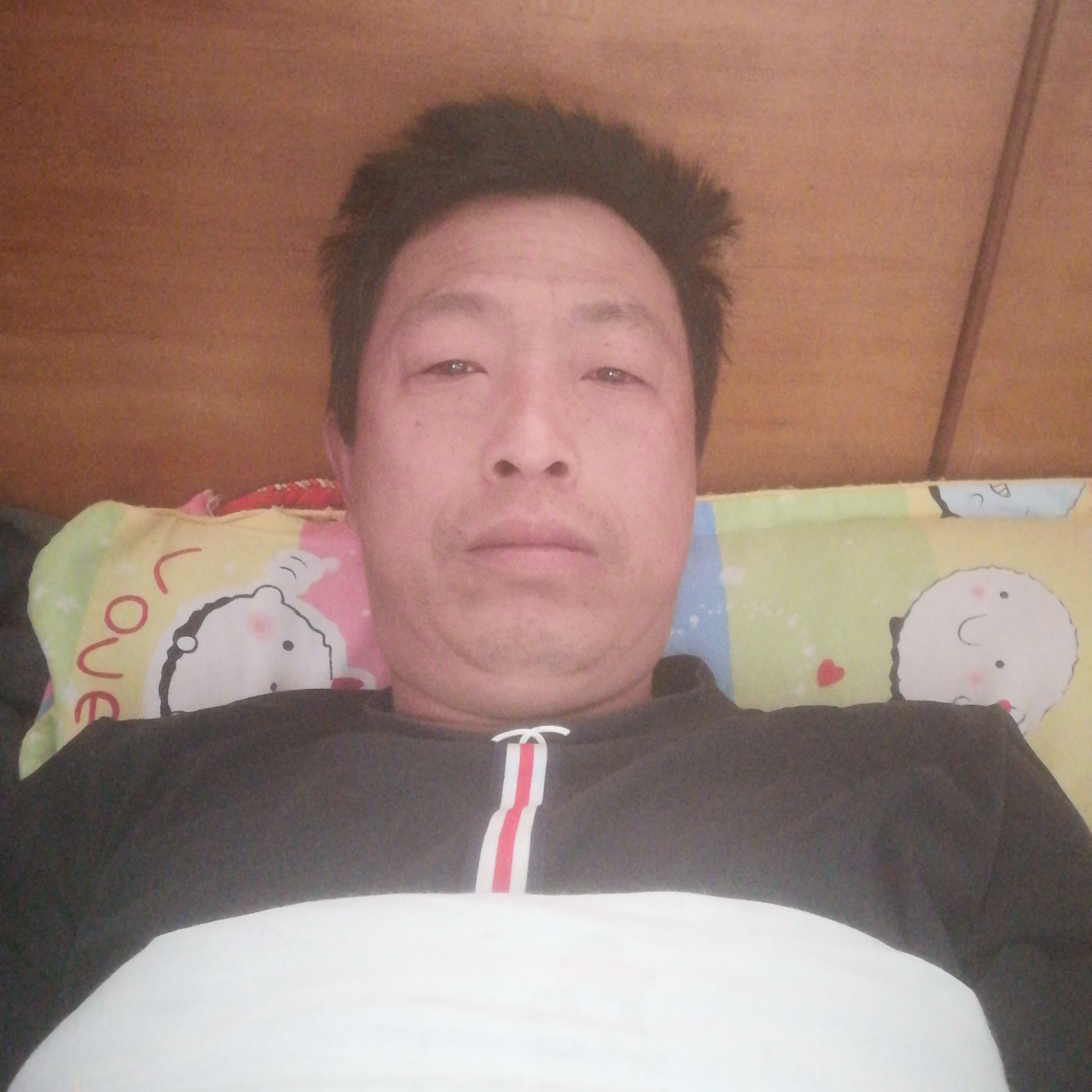 明亮停止青衫的照片