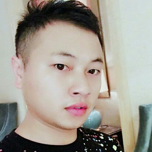 相思的鸟的照片