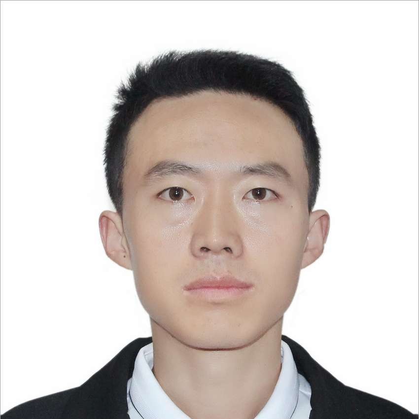 向日葵的照片