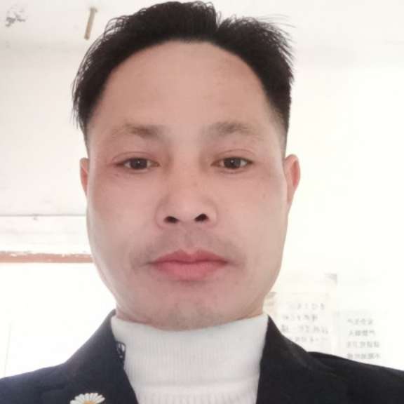 激昂邂逅小海豚的照片