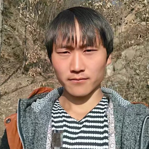 寂冷迎小鸭子的照片