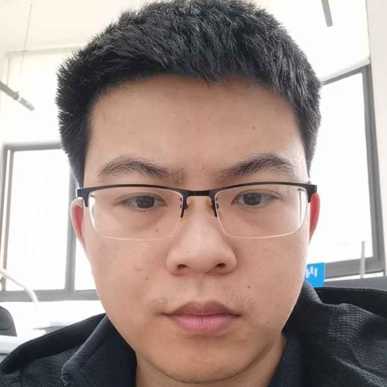 猫飞鸟的照片