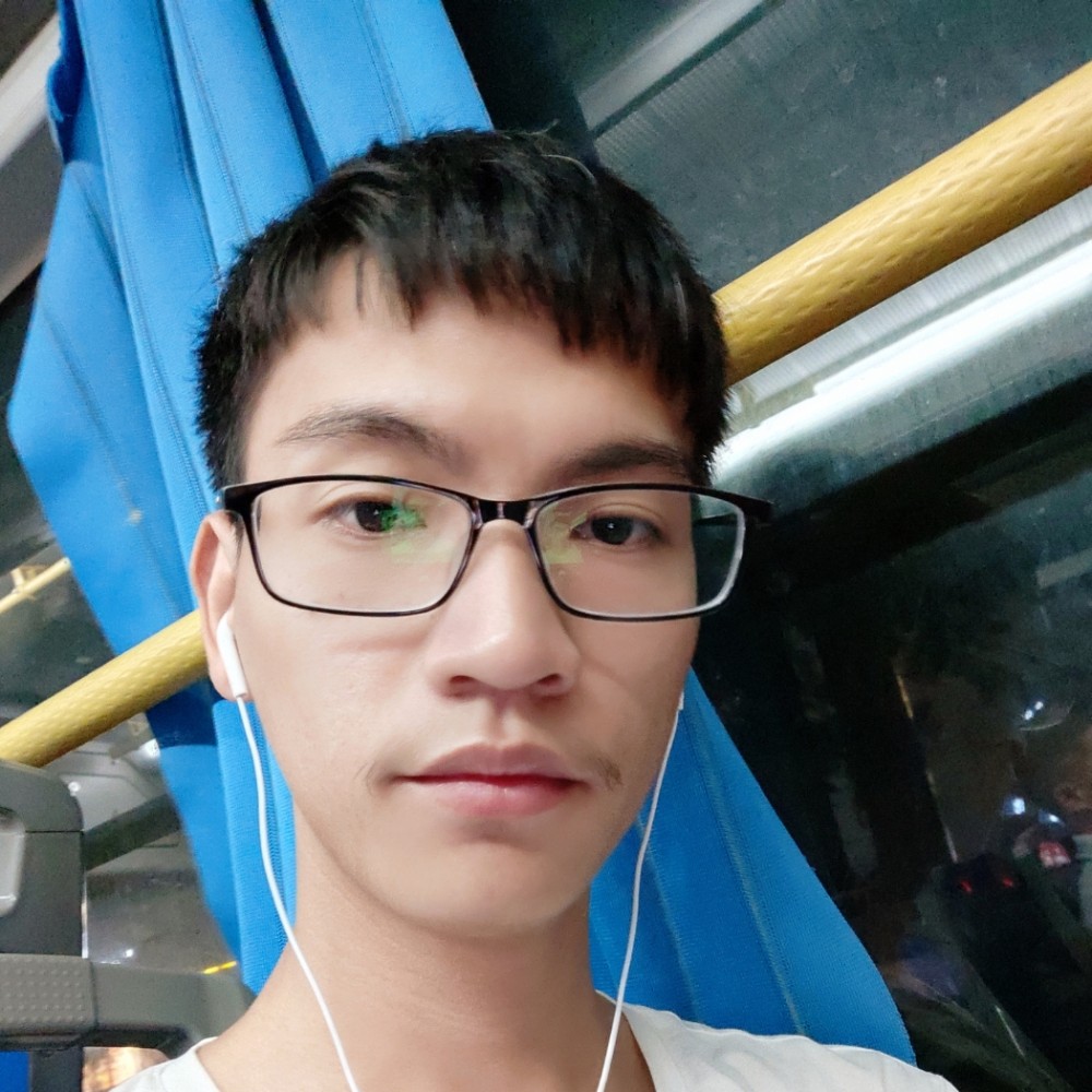 黑暗森林。的照片