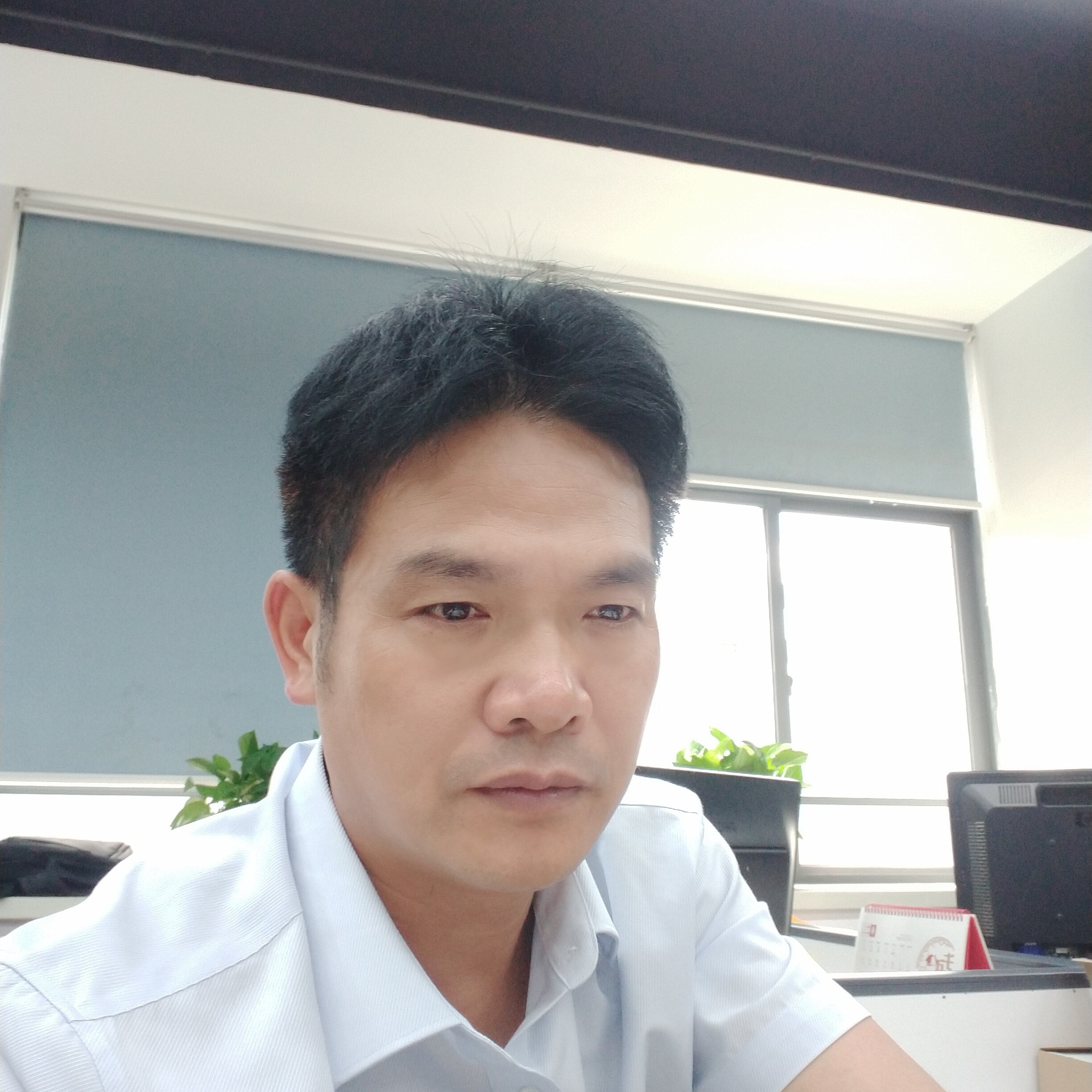 绿草傻傻的照片