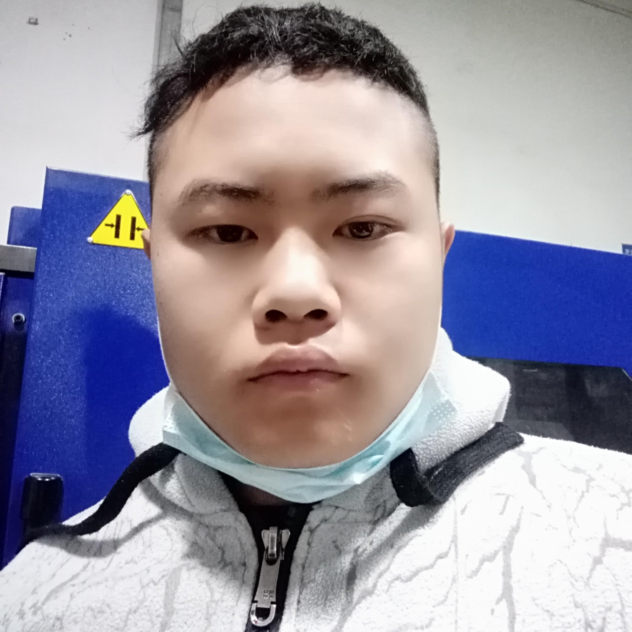 乌龟停止威武的照片
