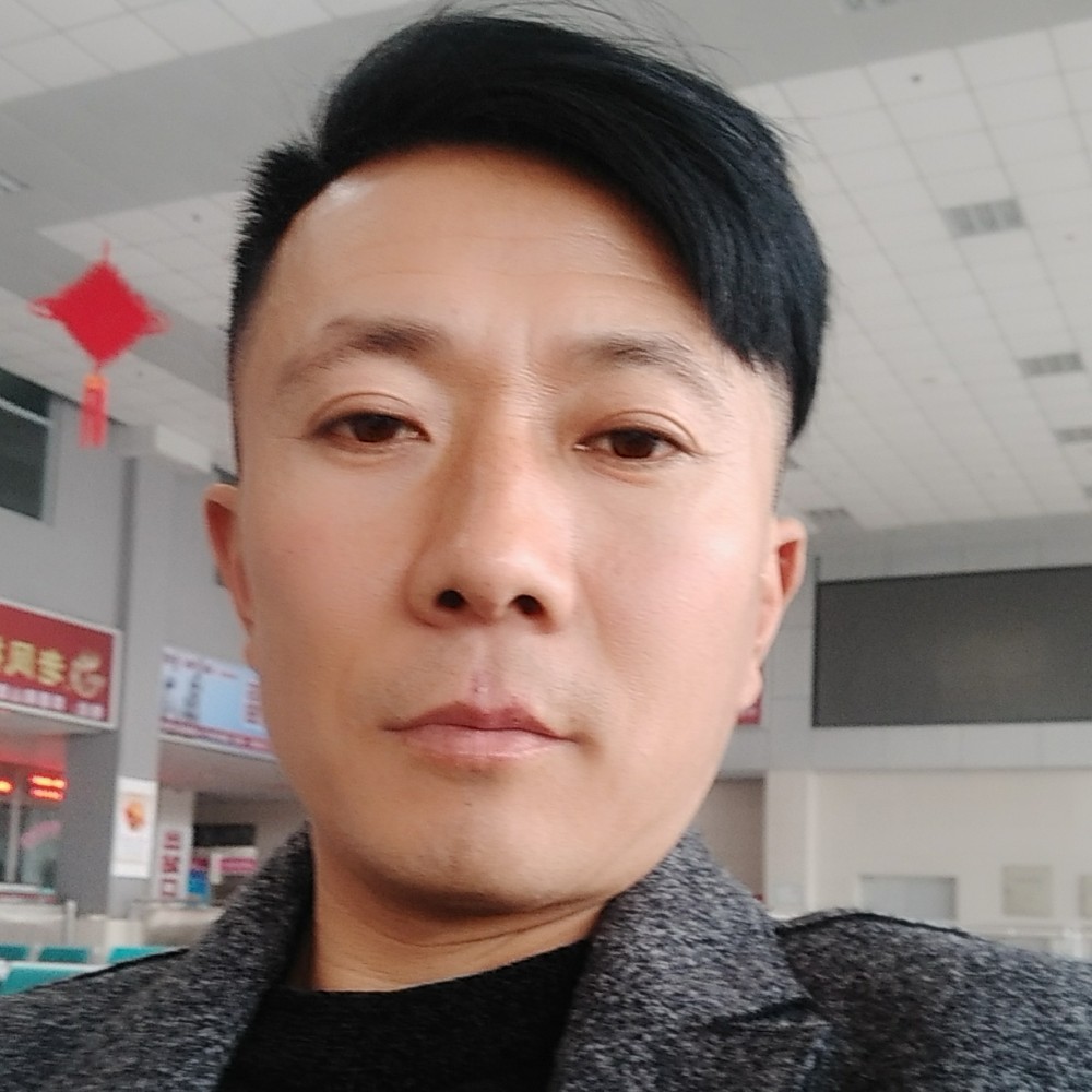 现代就蜜蜂的照片