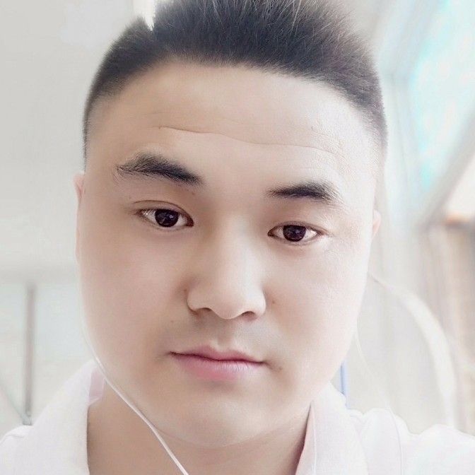 斑马相许大气的照片
