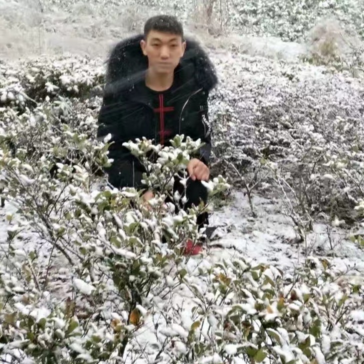 潘波的照片