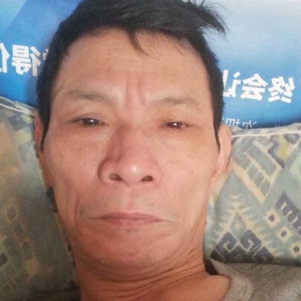 荷花凝眸单身的照片