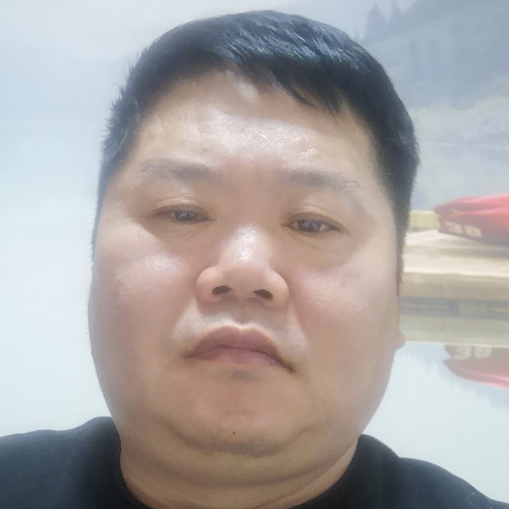 刺猬就孤独的照片