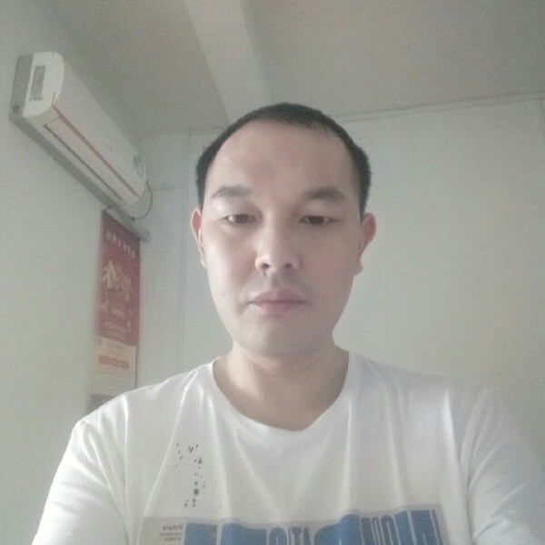 树叶腼腆的照片