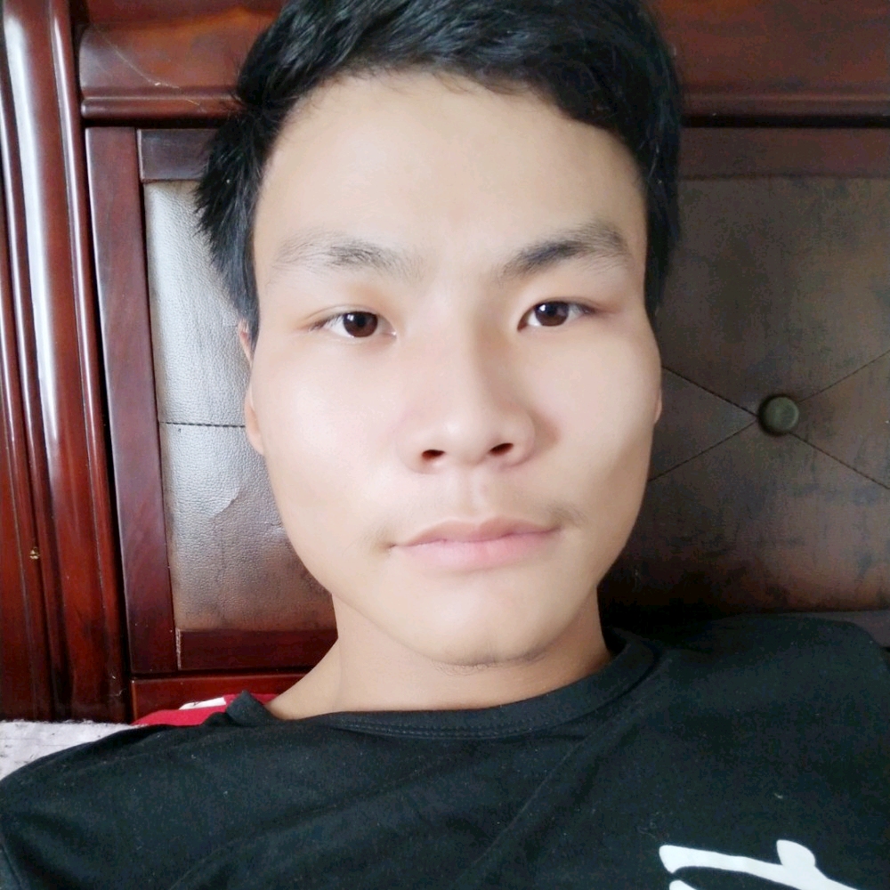 高大小懒猪的照片