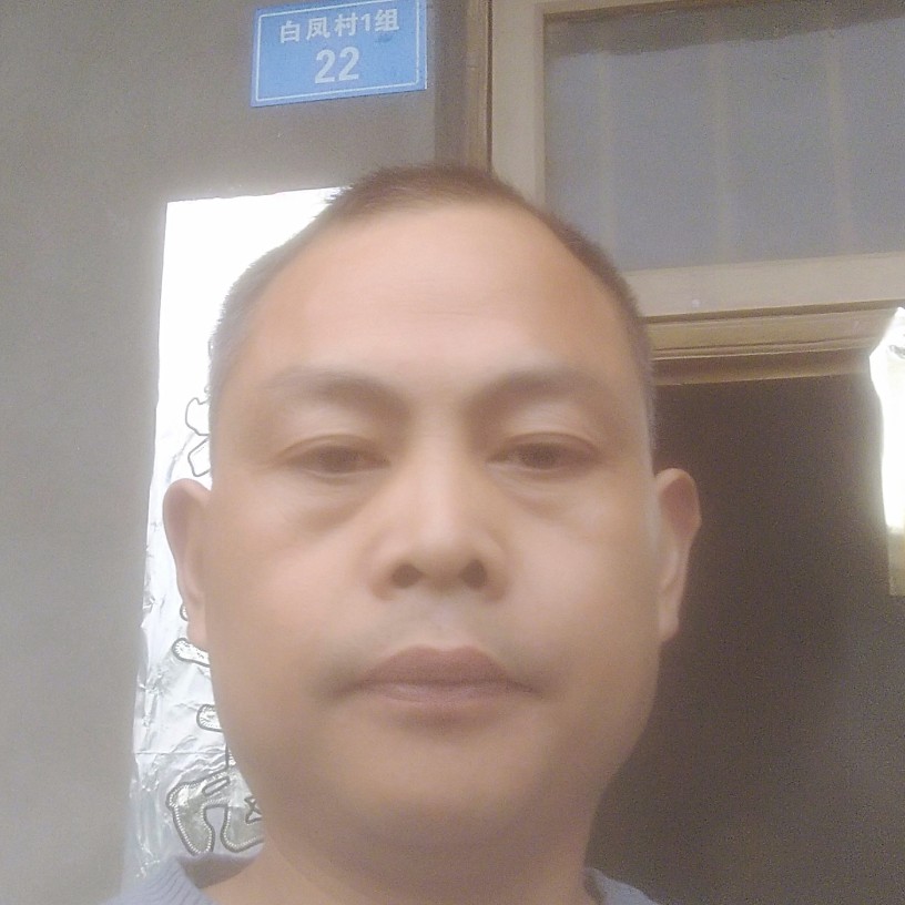 翅膀漠然沧海桑田的照片