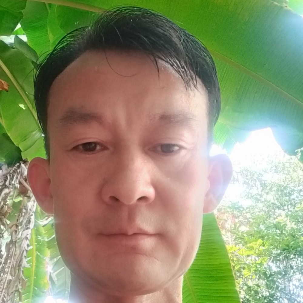 在他乡，的照片