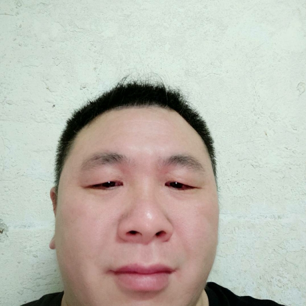 冬日大气的照片