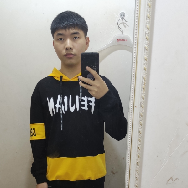 小海豚愉快的照片