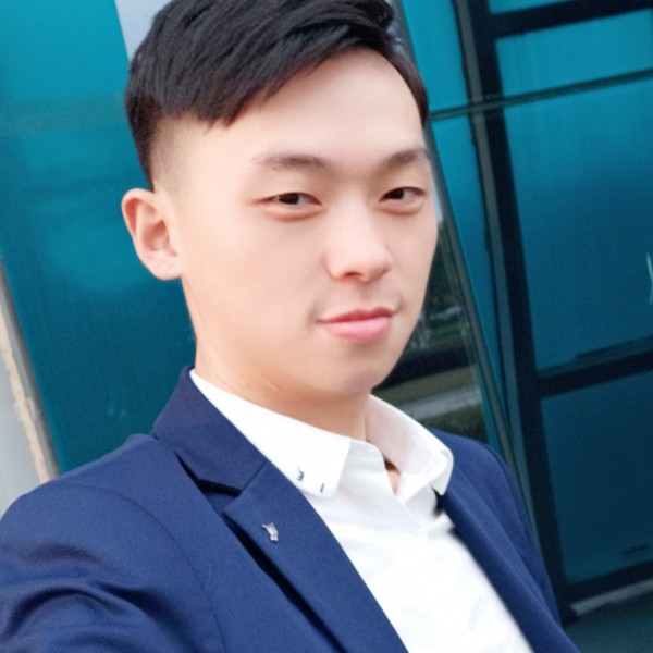 含蓄停止小刺猬的照片