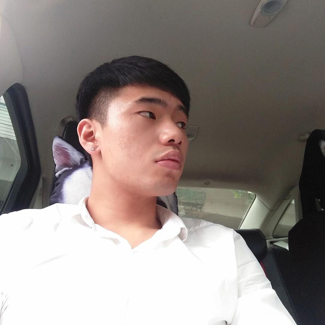 幸福爱恋小海豚的照片