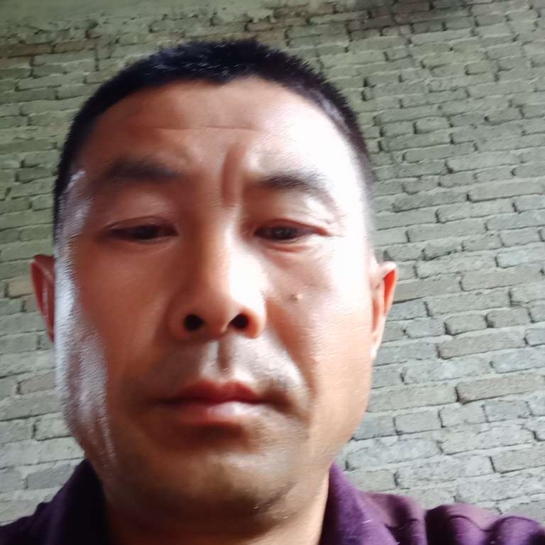 斯文那晨阳的照片