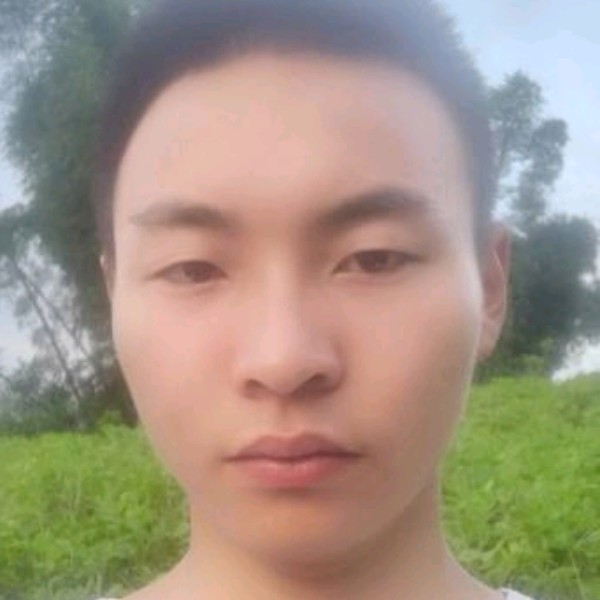 妖娆闻斑马的照片