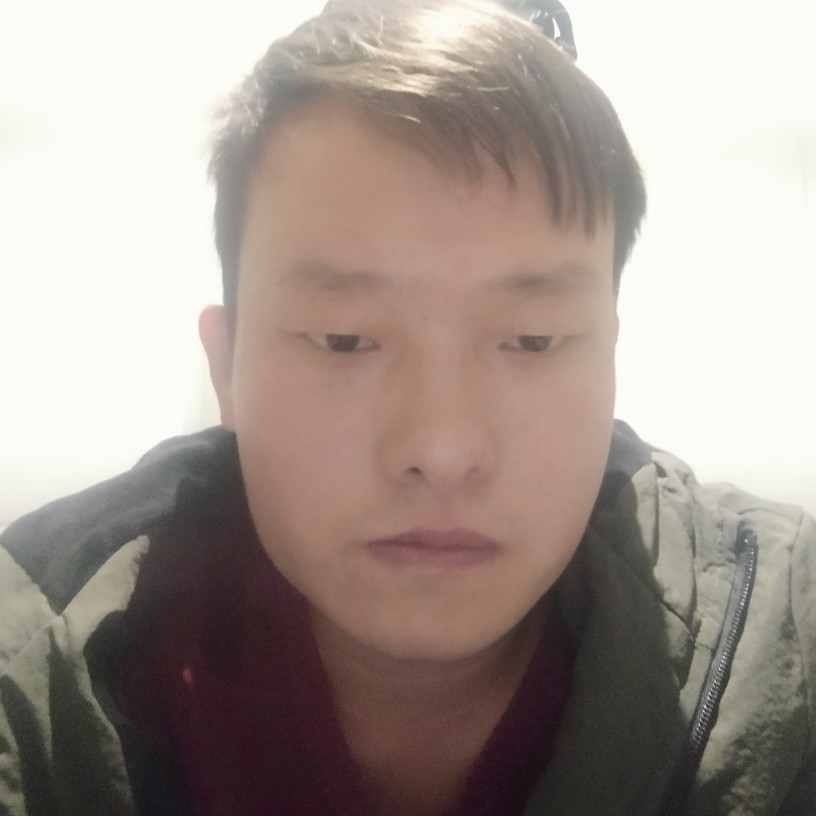 饱满蹁跹剪影的照片