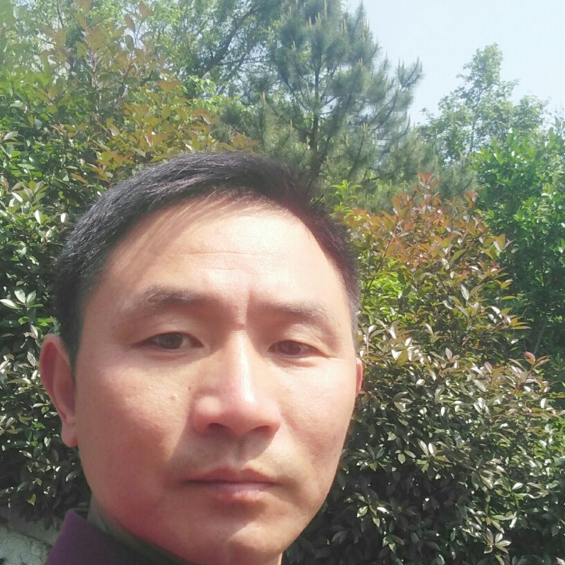 高树华的照片