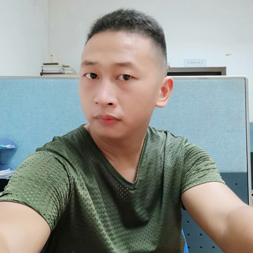 孤独的猫的照片