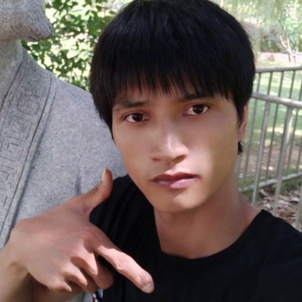 孤独向百合的照片