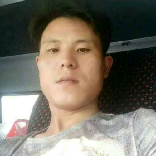 辛心相应的照片