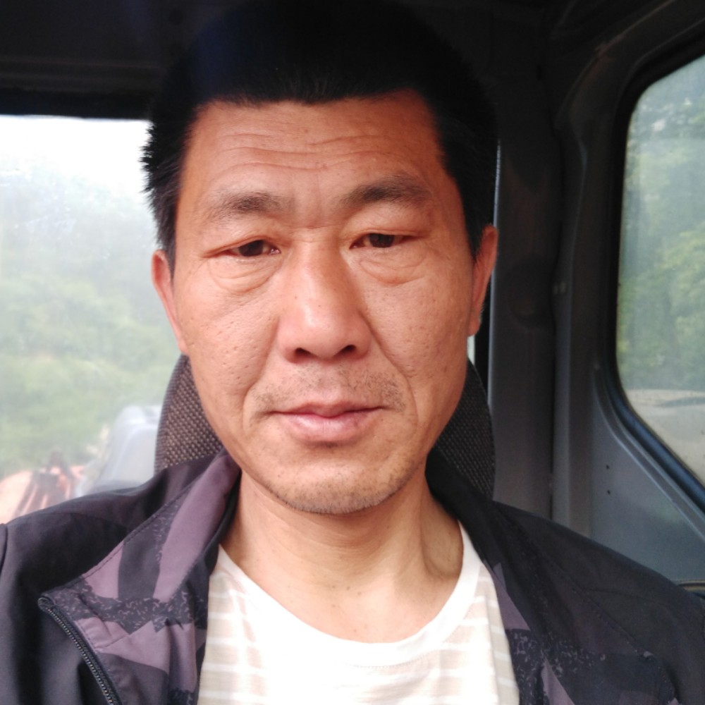 灰狼苦恋儒雅的照片