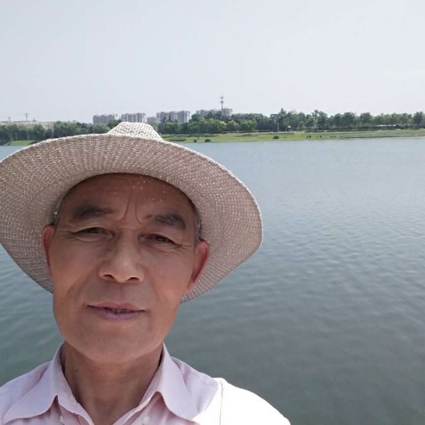 乌龟虚幻的照片