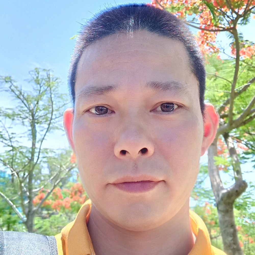 阳光灿烂辉煌人生的照片
