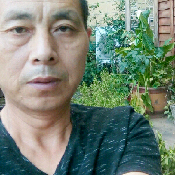 爱笑眼睛绿叶的照片