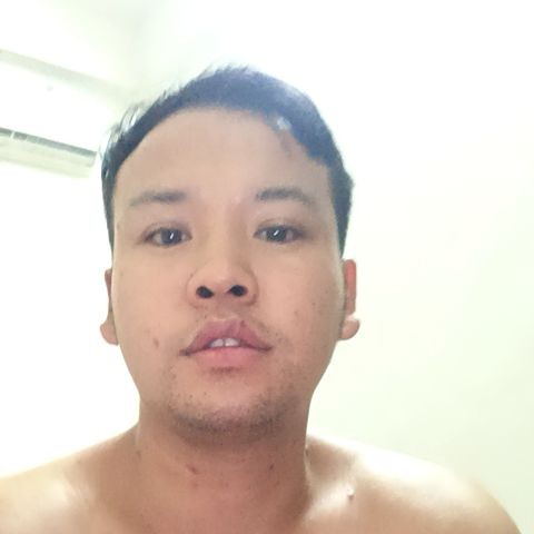 康乃馨爱生动的照片