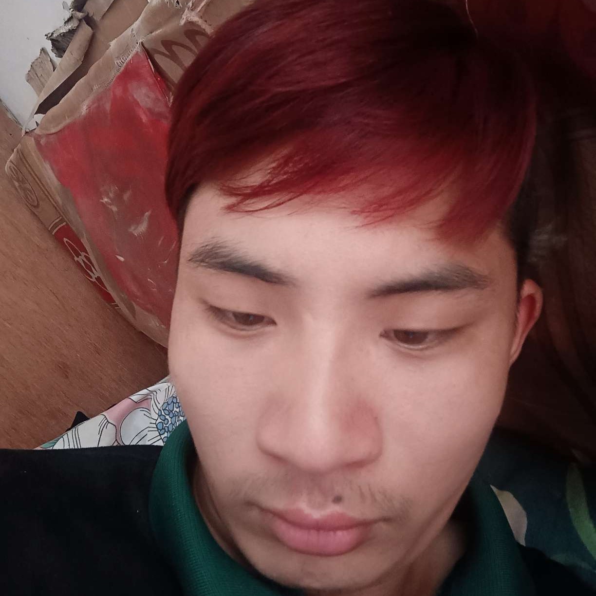 纸鹤打认真的照片