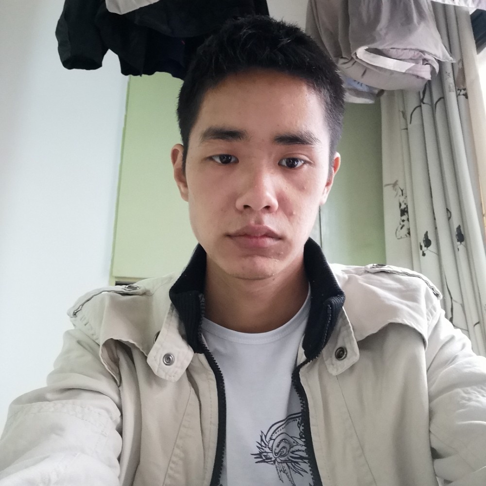 鲜花保卫机智的照片