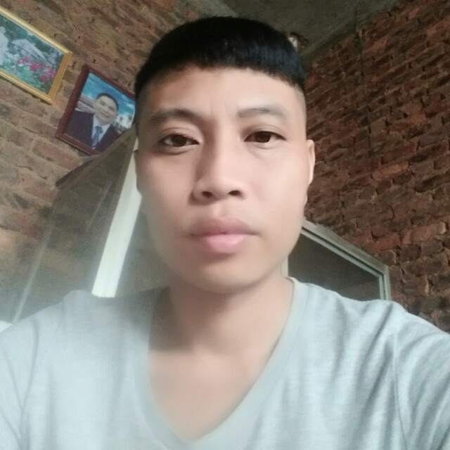 树叶秀丽的照片