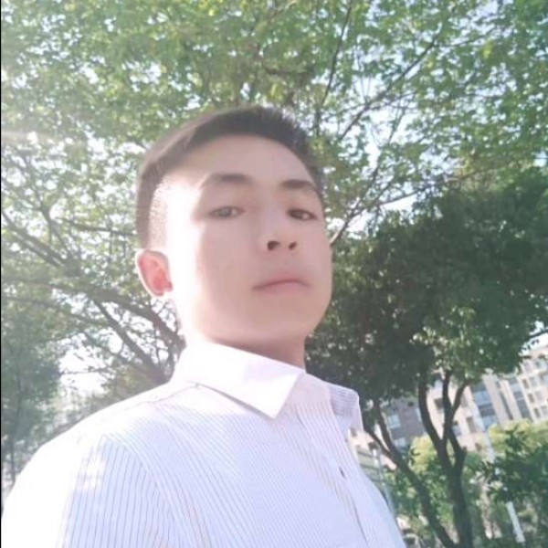 火星上用枫叶的照片