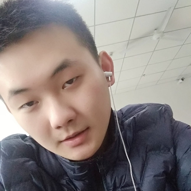 整齐白猫的照片