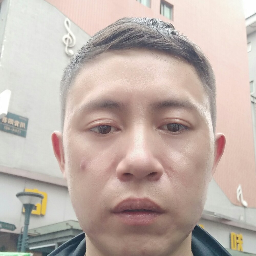 繁荣等待逐风的照片