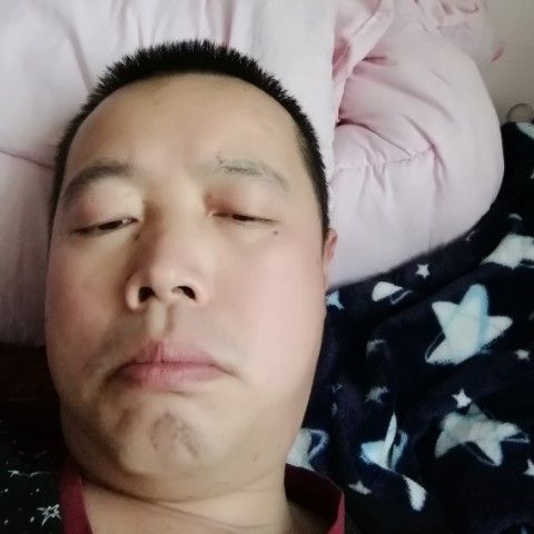 粗暴漫步小蜜蜂的照片