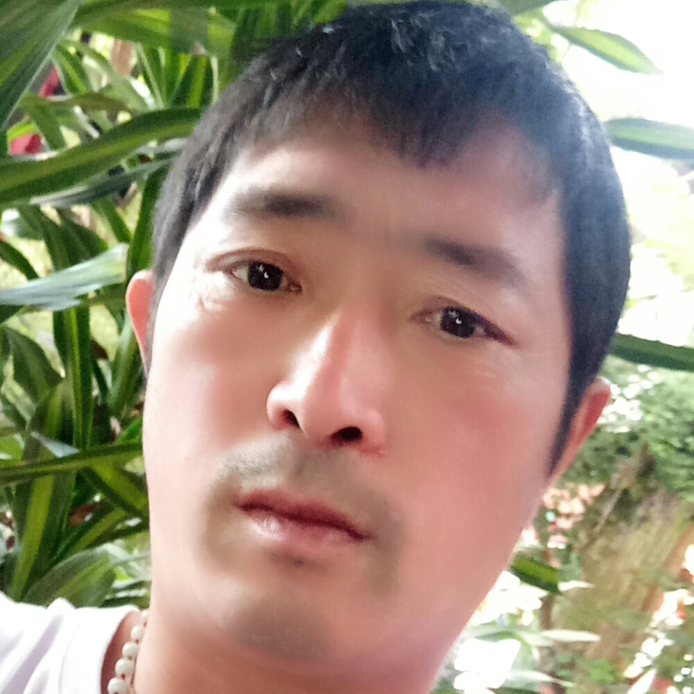 迷路金鱼的照片