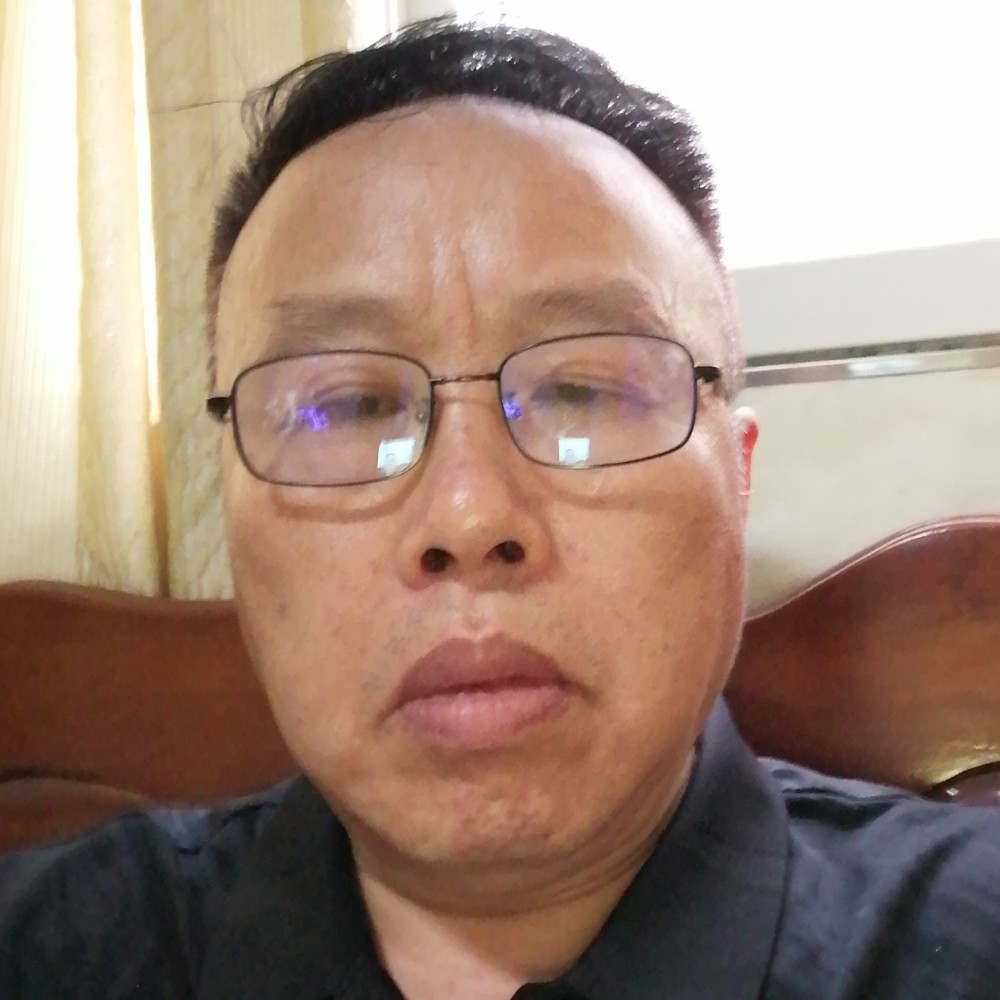 拉长凝眸小刺猬的照片