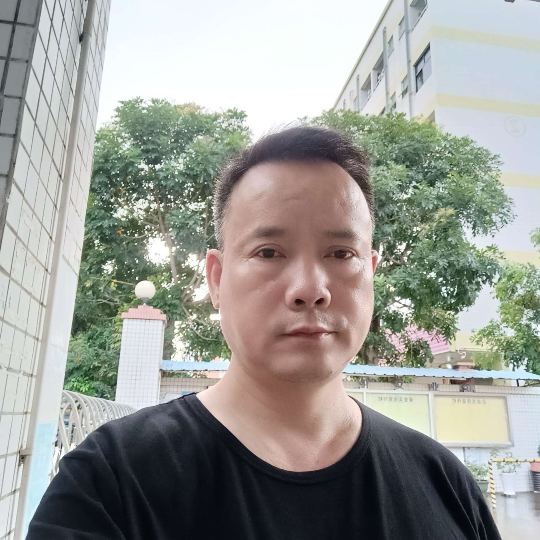 苗条回首隐形的照片